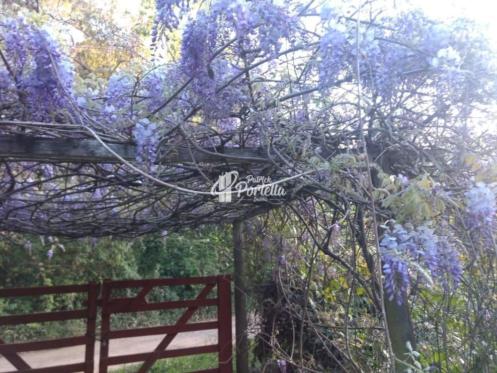 Chácara, 2 quartos, 4 hectares - Foto 15