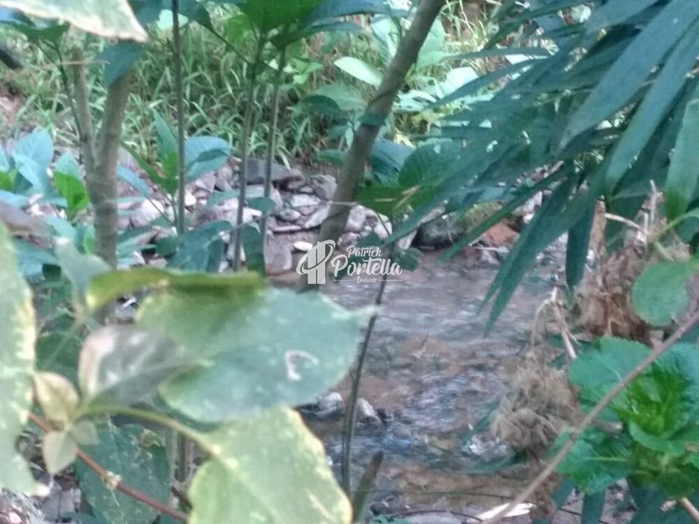 Chácara, 2 quartos, 4 hectares - Foto 18