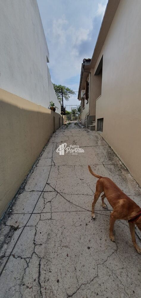 Casa, 5 quartos, 120 m² - Foto 19