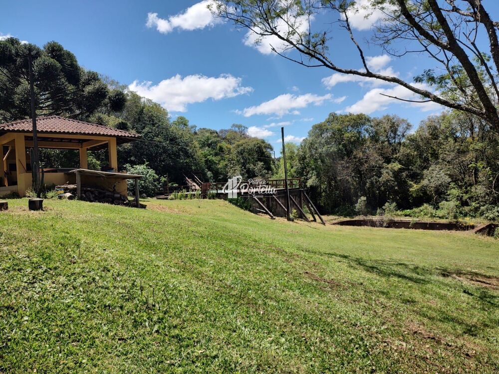 Chácara, 4 quartos, 9 hectares - Foto 12