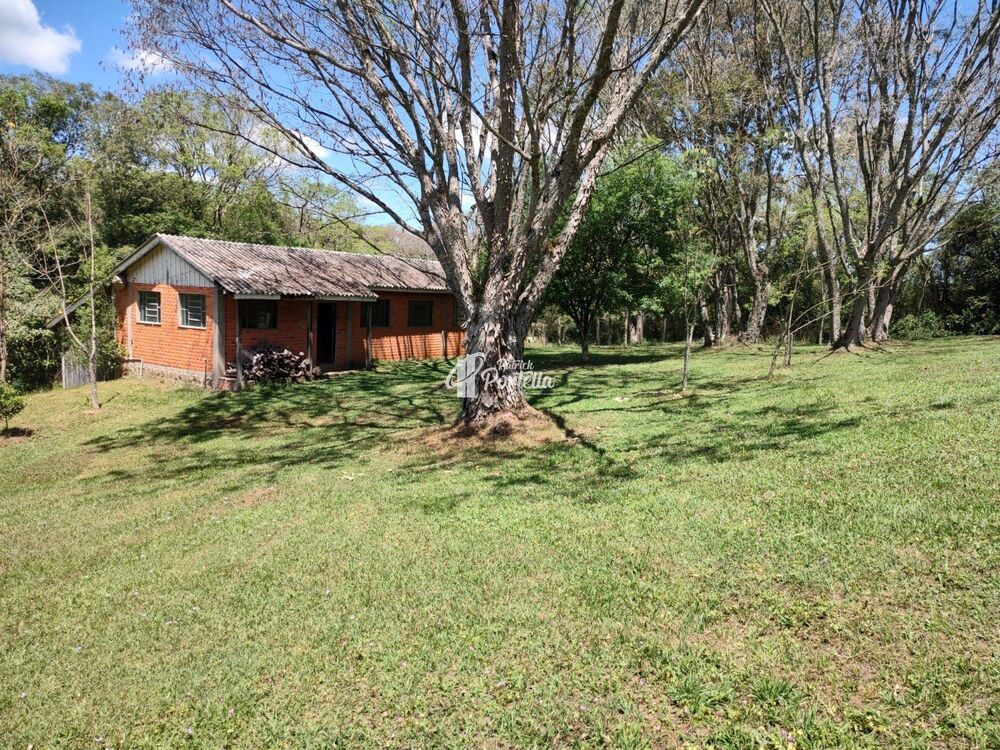 Chácara, 4 quartos, 9 hectares - Foto 13