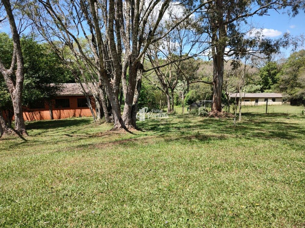 Chácara, 4 quartos, 9 hectares - Foto 3