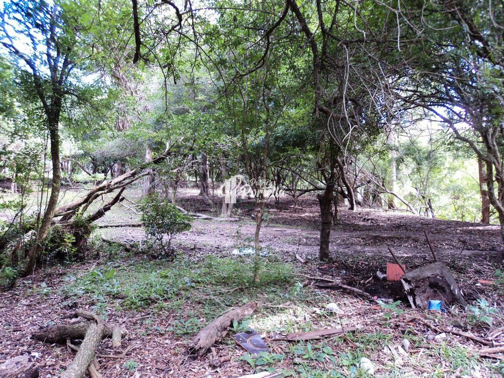 Casa, 5 quartos, 600 m² - Foto 28