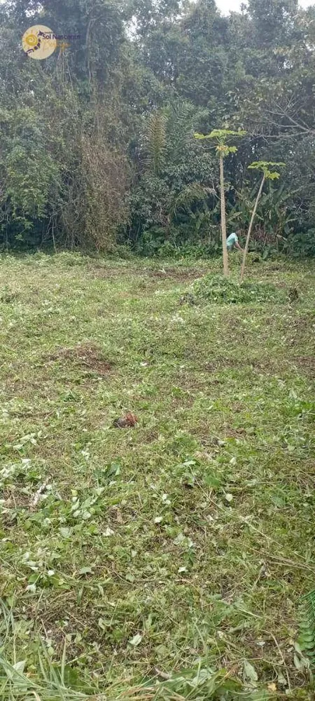 Terreno, 373 m² - Foto 5