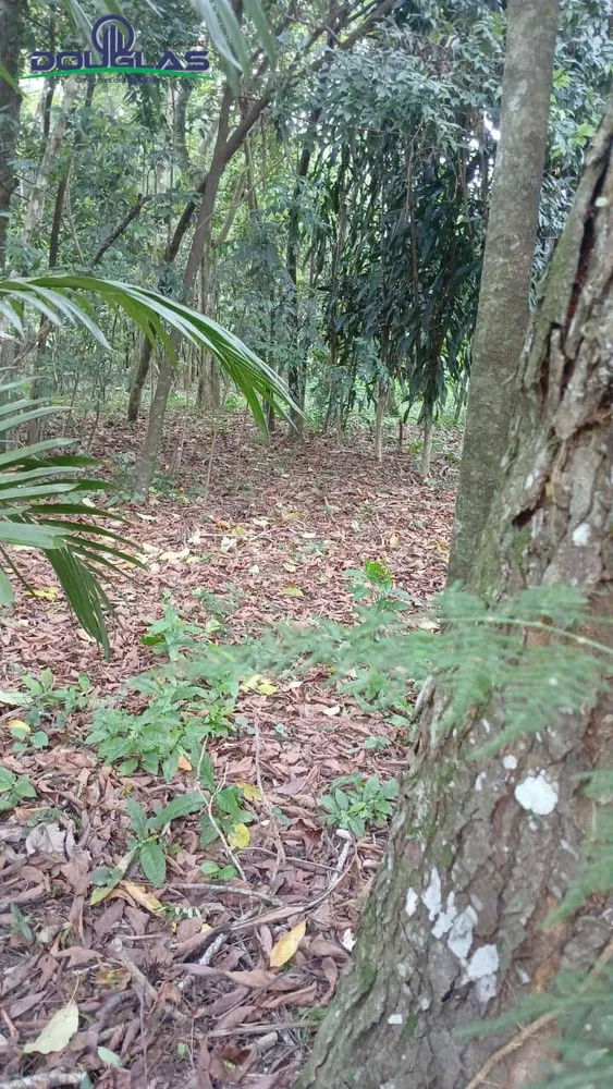 Terreno, 600 m² - Foto 5
