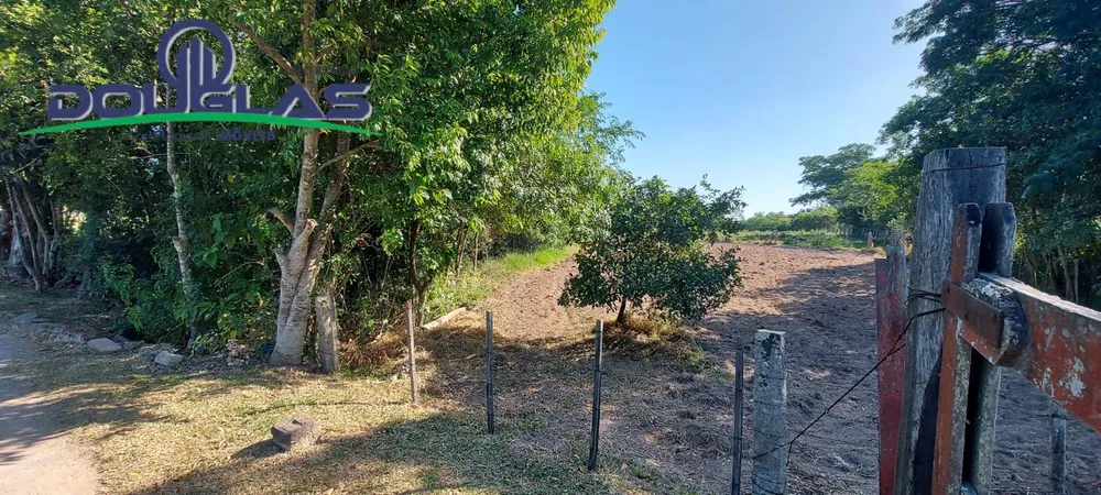 Terreno - Foto 2
