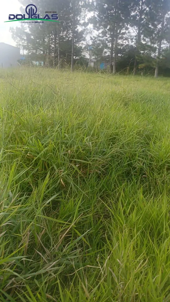 Terreno, 360 m² - Foto 5
