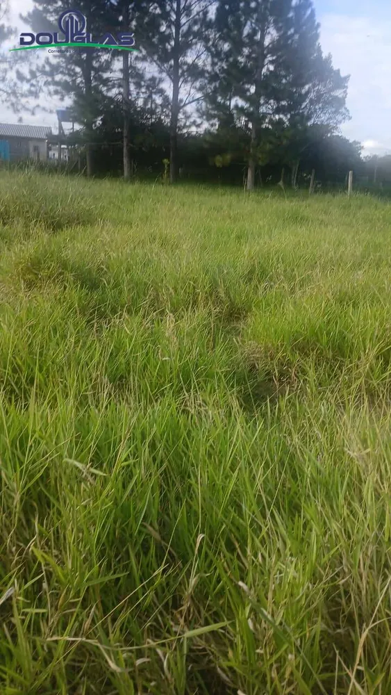 Terreno, 360 m² - Foto 2