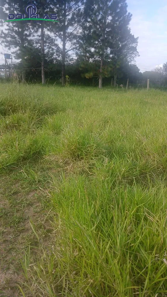 Terreno, 360 m² - Foto 3