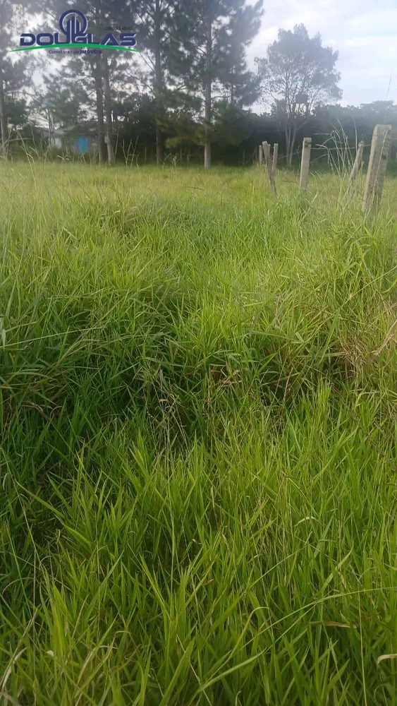 Terreno, 360 m² - Foto 4