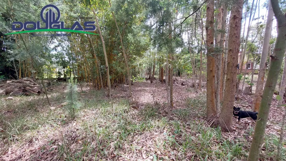 Terreno, 462 m² - Foto 4