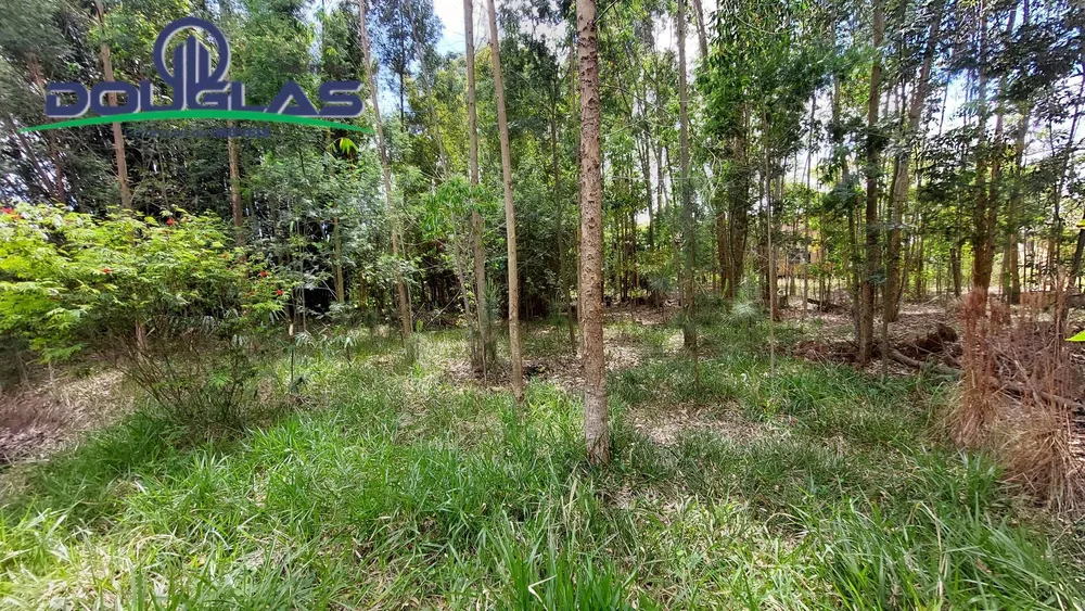 Terreno, 462 m² - Foto 6