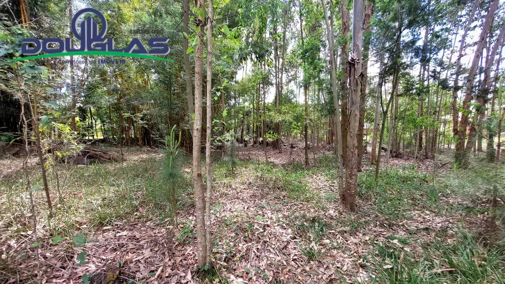 Terreno, 462 m² - Foto 5