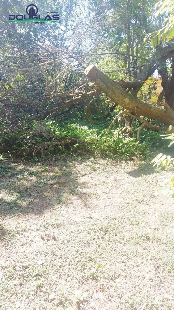 Terreno, 450 m² - Foto 4