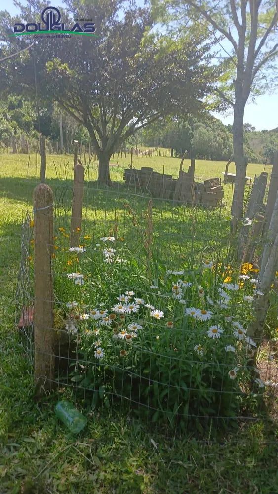Terreno, 2 hectares - Foto 8