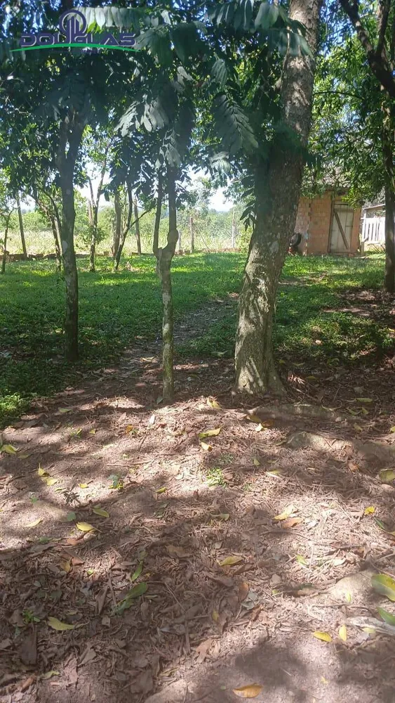 Terreno, 2 hectares - Foto 7