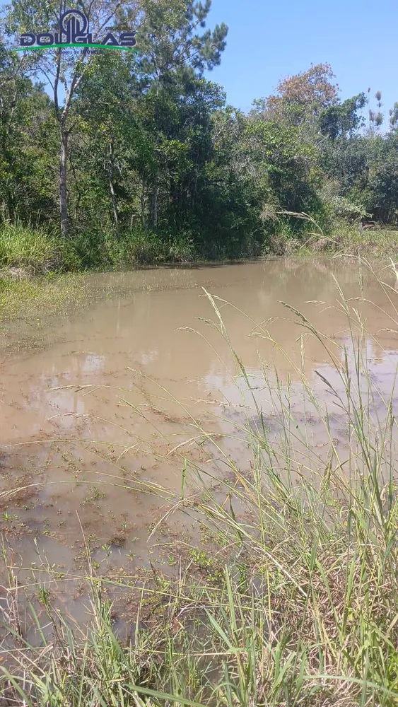 Terreno, 2 hectares - Foto 4