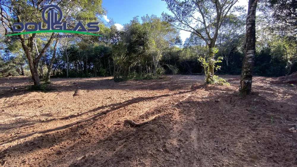 Terreno - Foto 8