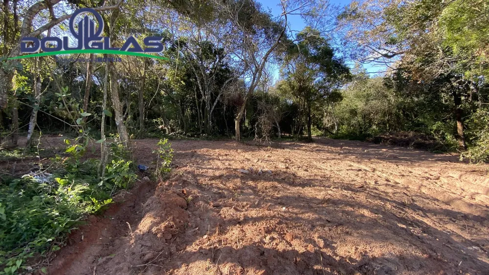 Terreno - Foto 5