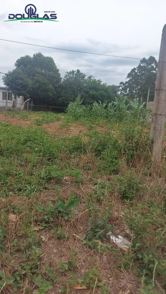 Terreno - Foto 2