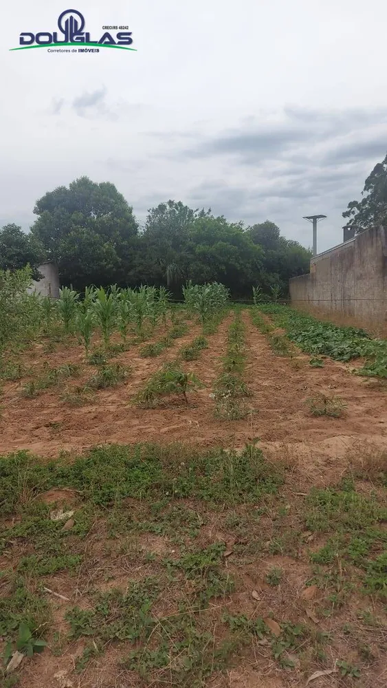 Terreno - Foto 4