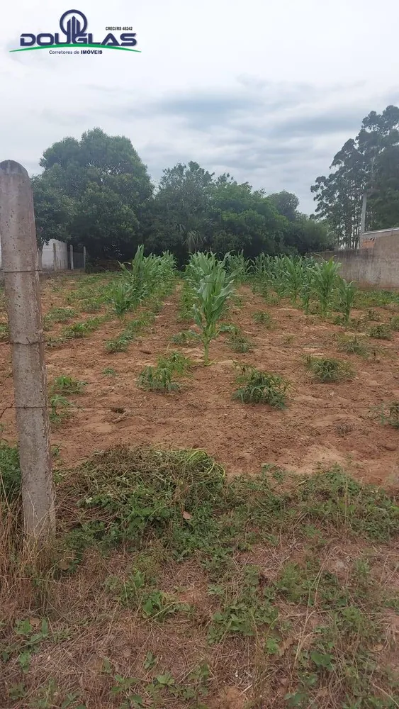 Terreno - Foto 1