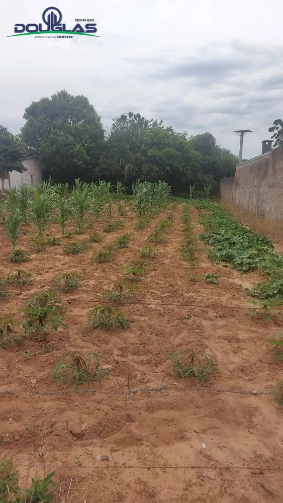 Terreno - Foto 5