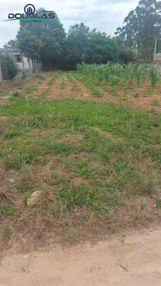 Terreno - Foto 7