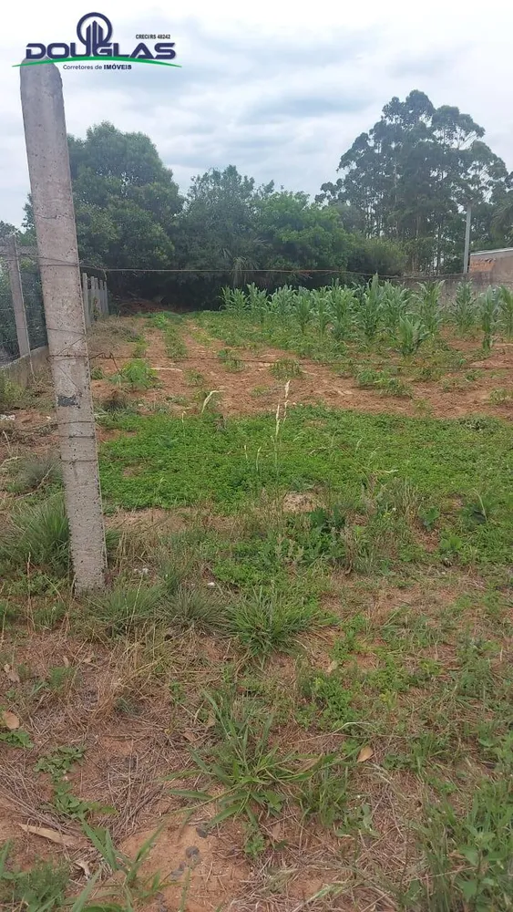 Terreno - Foto 6