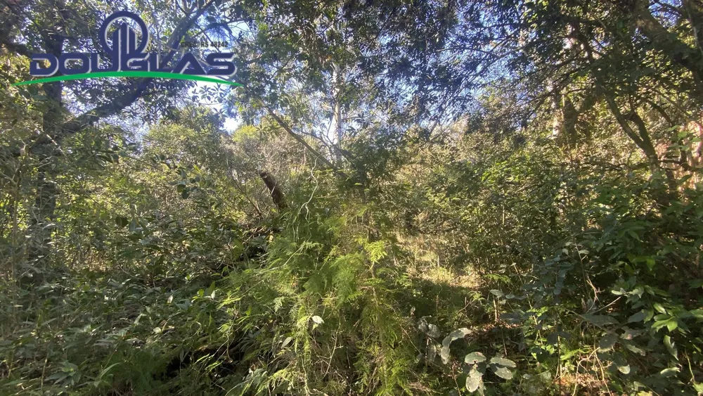 Terreno - Foto 2