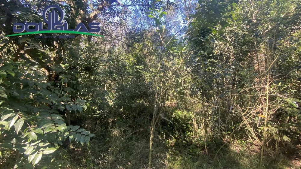 Terreno - Foto 3