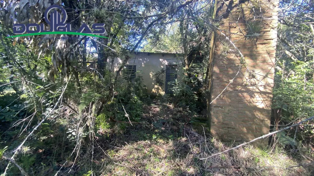 Terreno - Foto 4