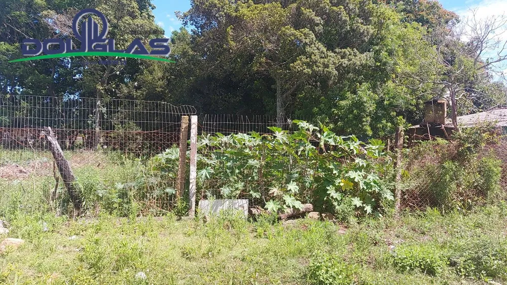 Terreno, 360 m² - Foto 5