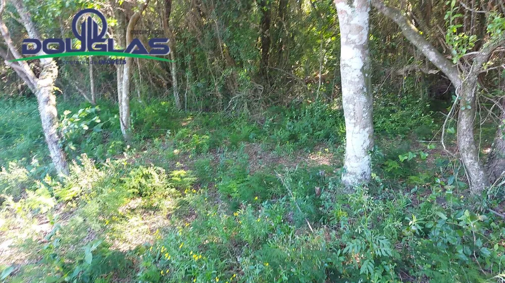 Terreno, 2400 m² - Foto 3