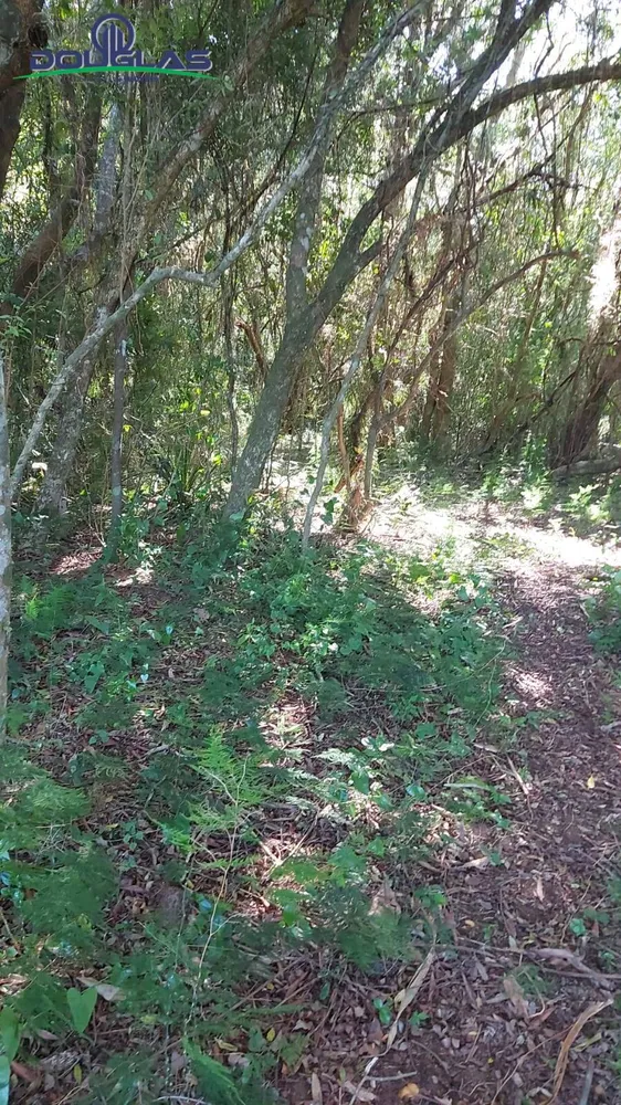 Terreno, 2400 m² - Foto 2