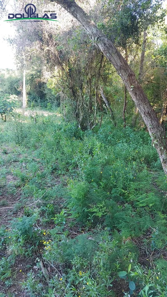 Terreno, 2400 m² - Foto 4
