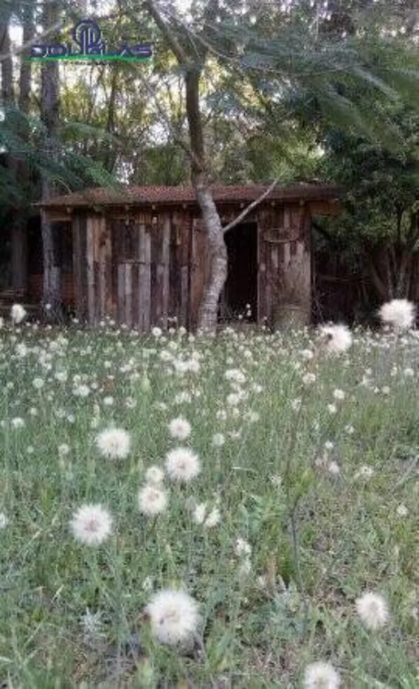 Terreno, 1080 m² - Foto 5