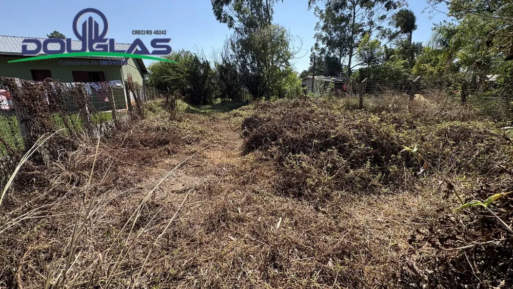 Terreno - Foto 3