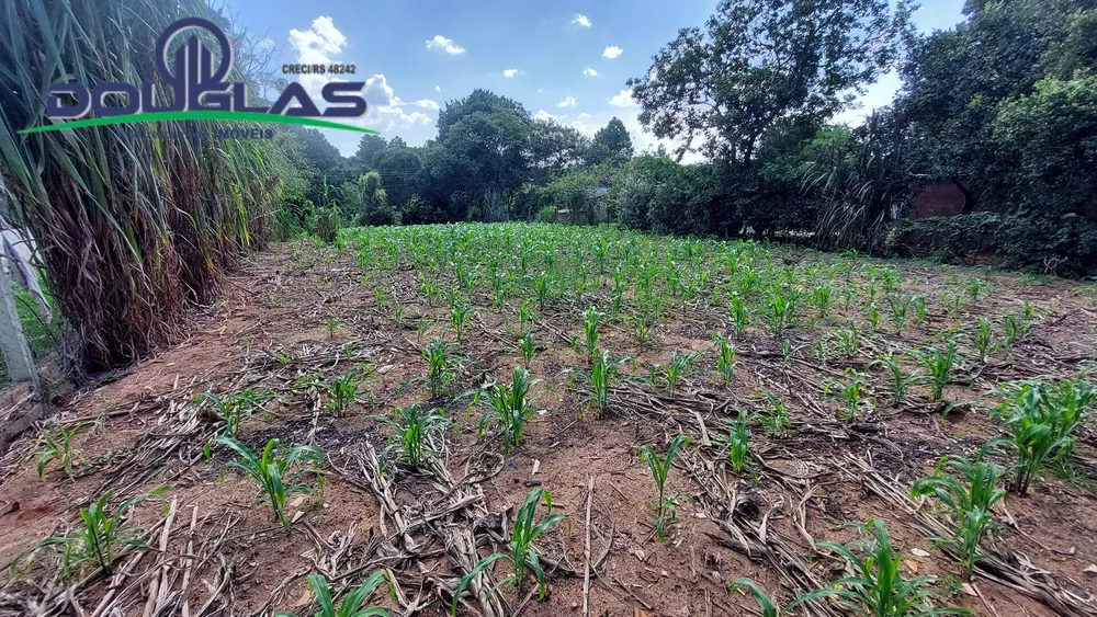 Terreno à venda - Foto 4