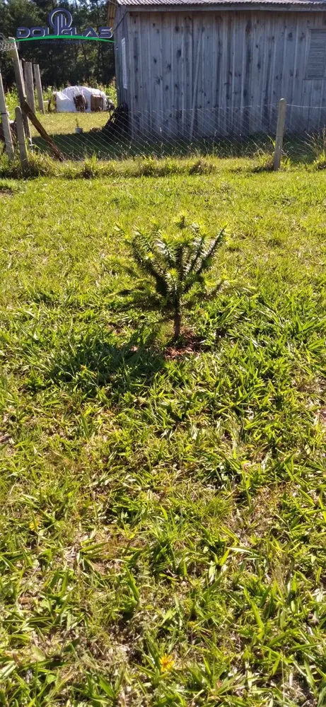 Terreno, 3050 m² - Foto 8