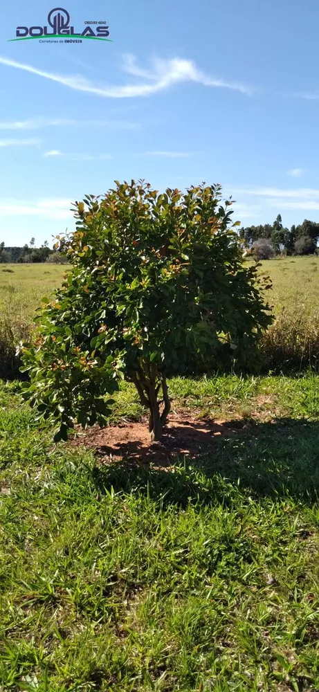 Terreno, 3050 m² - Foto 7