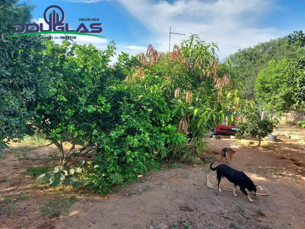Casa, 4 quartos - Foto 4