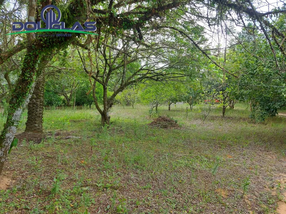 Sítio, 1 quarto, 3 hectares - Foto 8