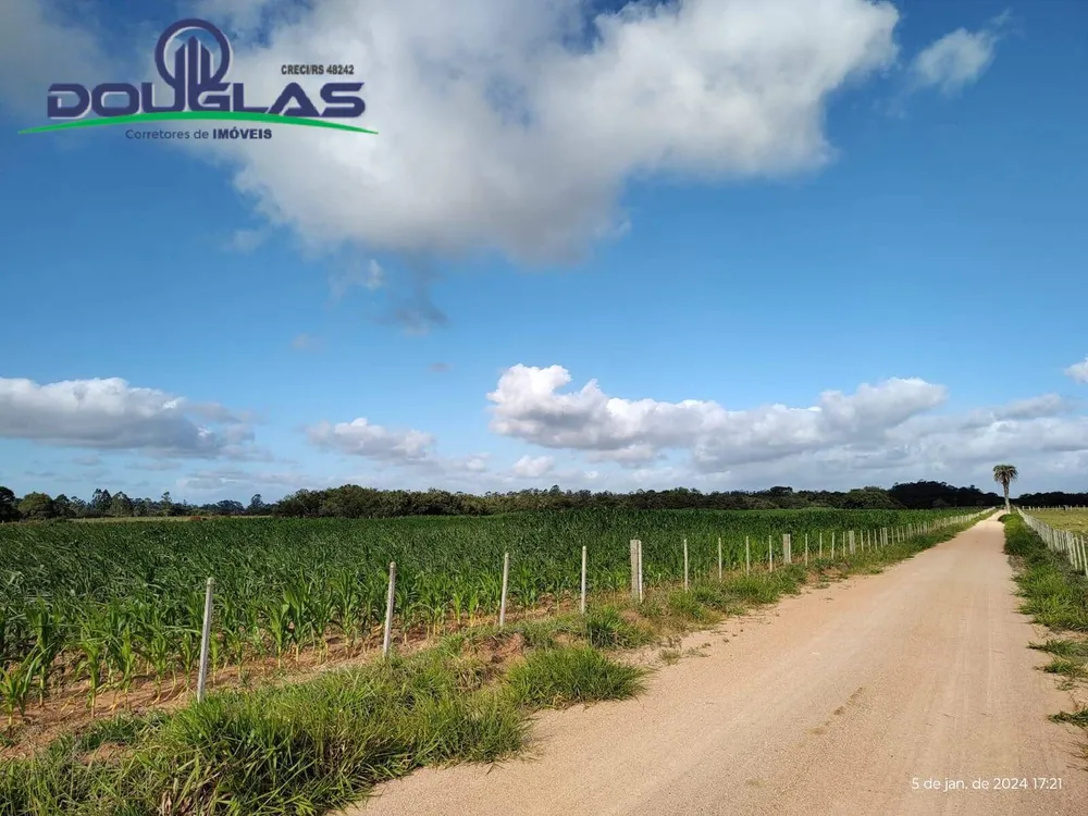 Terreno, 2 hectares - Foto 4