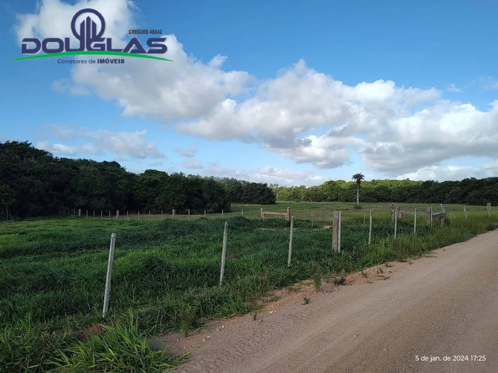 Terreno, 2 hectares - Foto 8