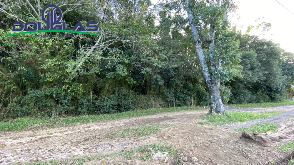 Terreno, 1600 m² - Foto 7
