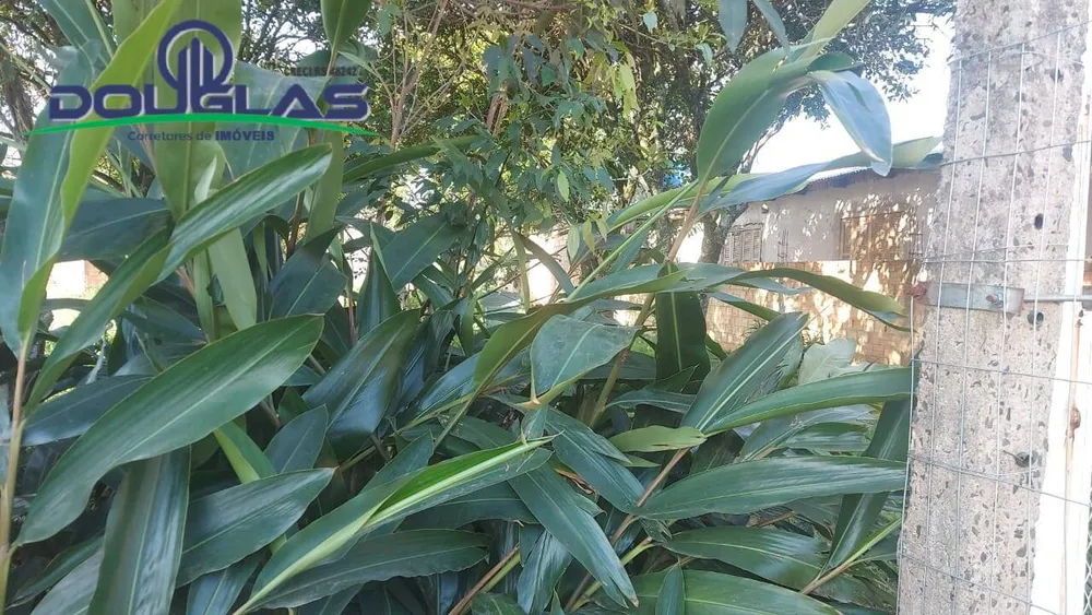 Terreno, 360 m² - Foto 3