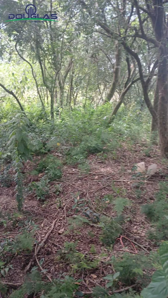 Terreno, 520 m² - Foto 6