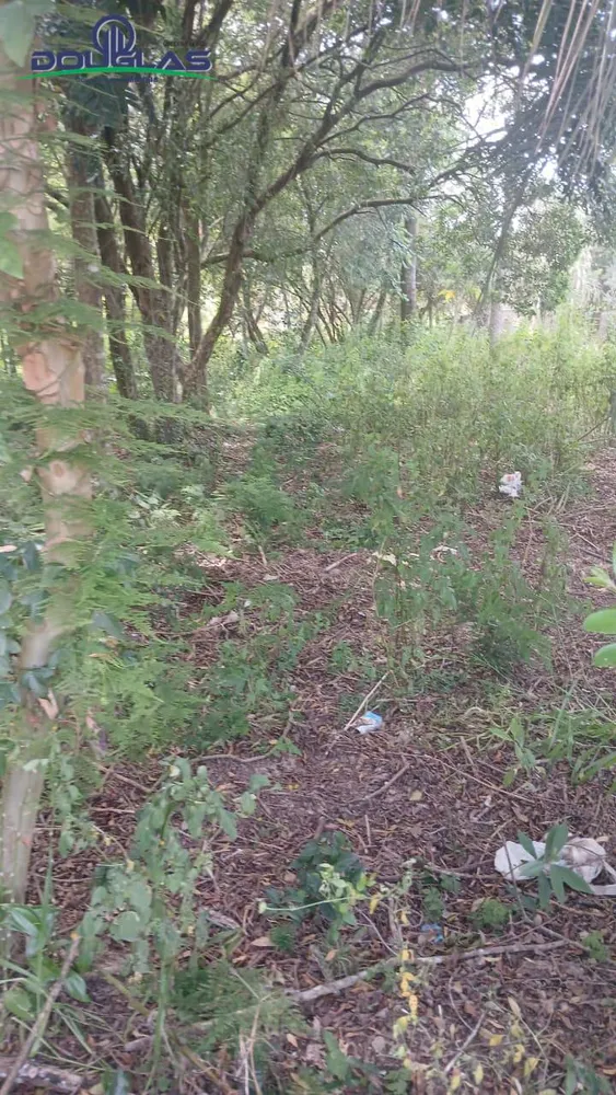 Terreno, 520 m² - Foto 3