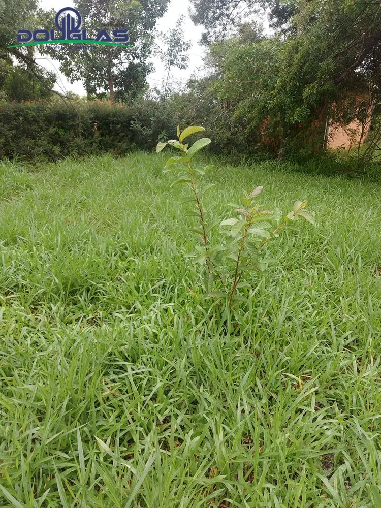 Terreno, 600 m² - Foto 3